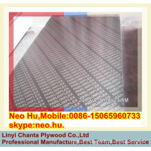 Linyi 15-20 repeat use times phenolic glue brown film faced plywood